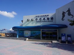 Wisata Bahari & Edukasi di Museum Perikanan Busan