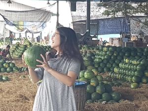 Ini Sikap Dinas Perdagangan Terhadap Pasar Buah yang Jual Grosir Ini Sikap Dinas Perdagangan Terhadap Pasar Buah yang Jual Grosir