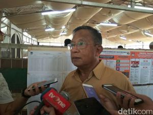 Utang RI Naik, Darmin: Kita Bangun Infrastruktur Banyak Sekali