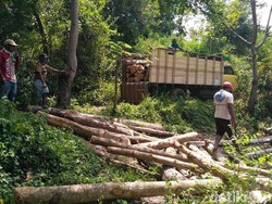 Polisi Gerebek Tempat Penyimpanan Jati Diduga Hasil Curian