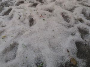 Viral Hujan Salju di Grasberg Papua, Ini Penjelasan BMKG Viral Hujan Salju di Grasberg Papua, Ini Penjelasan BMKG
