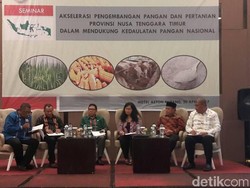 Bupati Lamongan Bicara Jagung di Seminar Pangan Nasional
