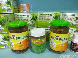 Purwaceng, Rahasia Vitalitas Pria Dieng Purwaceng, Rahasia Vitalitas Pria Dieng
