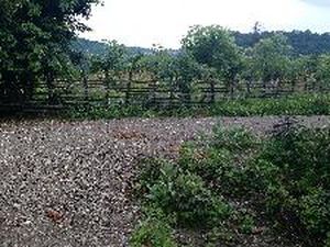 Nikmati Wisata ini di Crossborder Atambua Adventure Offroad 2017