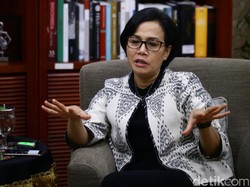 Saat Sri Mulyani Sebagai Menkeu, Istri, Ibu Sekaligus Nenek