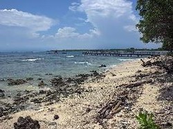 Yuk Menikmati Kuliner Pinggir Laut di Pandeglang Food Festival
