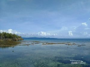 Jika Anda Snorkeling di Pasoso Sulteng, Temannya Penyu Liar! Jika Anda Snorkeling di Pasoso Sulteng, Temannya Penyu Liar!