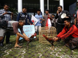 Politik dan Sabung Ayam