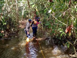 Garap Proyek 35 Ribu MW, Perempuan Ini Keluar Masuk Hutan Kalimantan