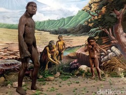 Manusia Jawa Sudah Diminta Pulang Sejak 1975, tapi Belanda Ogah