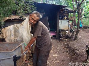 Tinggal di Gubuk Derita, Abah Tarsa Hanya Ditemani Kucing Tinggal di Gubuk Derita, Abah Tarsa Hanya Ditemani Kucing