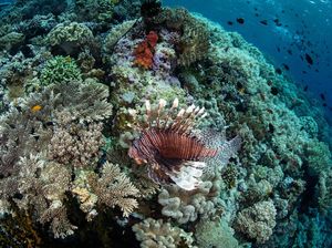 Harta Karun di Kampung Halaman Arie Kriting