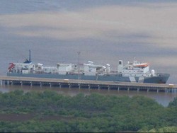 Sekitar 3.000 Sapi dari Australia Barat Dikirim ke Indonesia