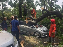 5 Unit Mobil dan Sejumlah Motor Tertimpa Pohon Tumbang di Jaktim