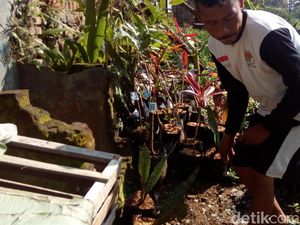 Hari Bumi, Korban Banjir Bandang Garut Buat Taman Apotek Hidup