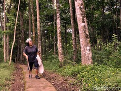 Tini Kasmawati, Pawang Owa Jawa di Cimaranginan Sukabumi