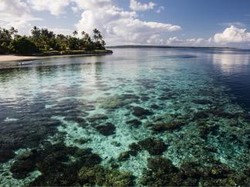 Yuk ke Wakatobi, Ada 15 Acara yang Wajib Dikunjungi