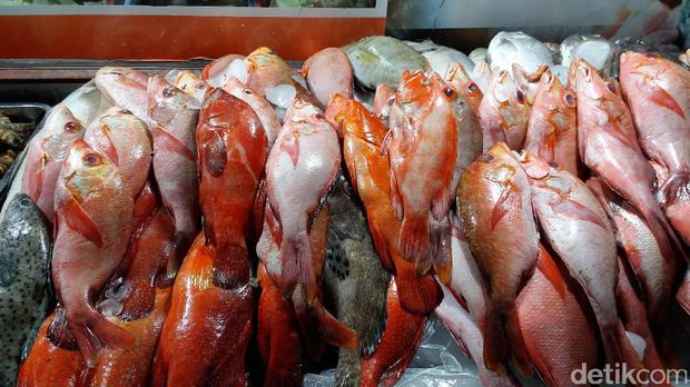 Mencicipi Kakatua Di Pasar Malam Kupang