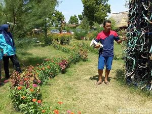 Tanah Gersang Disulap Jadi Taman Sekolah Edukasi Terumbu Karang