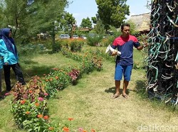 Tanah Gersang Disulap Jadi Taman Sekolah Edukasi Terumbu Karang
