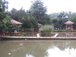 Pemkot Depok Akan Hidupkan Kembali 4 Situ: Demi Warisan Anak-Cucu