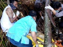 Satu Korban Tanah Longsor Ponorogo Kembali Ditemukan