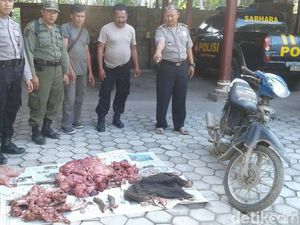 Polisi Buru Pelaku Perburuan Liar di TN Merubetiri