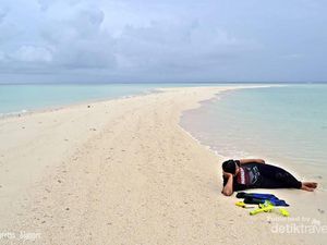 Sekeping Surga Baru di Selat Makassar, Apa Itu?