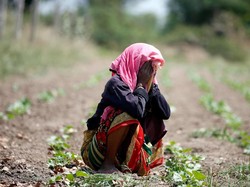 Ilmuwan Peringatkan Super El Nino Ancam Panggang Bumi Tahun Ini