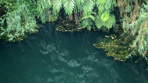 Potret Sumur Mistis di Banjarnegara