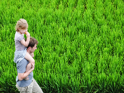 Keindahan Bali Memesona Pimpinan Pramuka se-Asia Pasifik