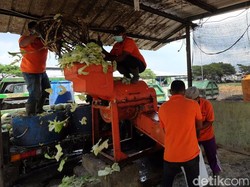 Hemat Anggaran, Pasar Induk Osowilangun Kelola Sampah Mandiri