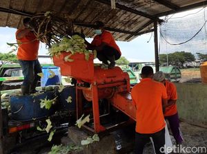 Hemat Anggaran, Pasar Induk Osowilangun Kelola Sampah Mandiri Hemat Anggaran, Pasar Induk Osowilangun Kelola Sampah Mandiri