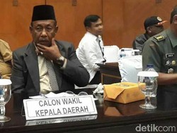 DPRD Riau Pilih Wan Thamrin Hasyim Jadi Wagub