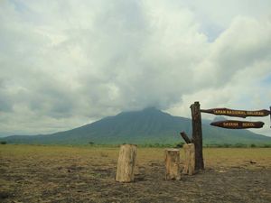 Pilihan 7 Aktivitas Seru Sehari di Taman Nasional Baluran Africa van Java Pilihan 7 Aktivitas Seru Sehari di Taman Nasional Baluran Africa van Java
