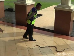 Penampakan Ular Saat Sidang Pembunuhan Siswa SMA Taruna Nusantara