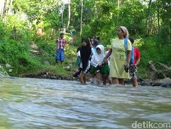Ini Kata Pemkab Probolinggo Soal Siswa Bertaruh Nyawa Sebrangi Sungai