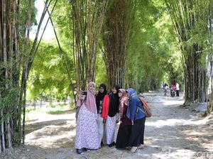 Pesona Hutan Bambu Keputih: Oase Alam di Tengah Hiruk Pikuk Surabaya Pesona Hutan Bambu Keputih: Oase Alam di Tengah Hiruk Pikuk Surabaya