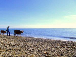 Keindahan Pantai Amed dan Lokasi Diving Favorit