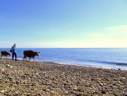 Keindahan Pantai Amed dan Lokasi Diving Favorit