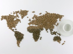 Ini Secangkir Kopi Terkecil di Dunia, Hanya Dibuat dari 1 Biji Kopi!