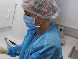 Uji DNA Bantu Ungkap Identitas Tentara Australia yang Hilang Saat PD I