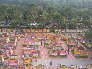 Video: Balai Kota Berubah Jadi Lautan Bunga Video: Balai Kota Berubah Jadi Lautan Bunga
