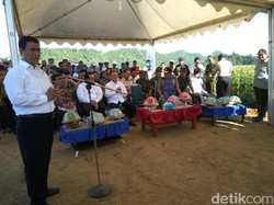 Cerita Mentan Soal Beda Petani RI dengan di Korsel dan Jerman