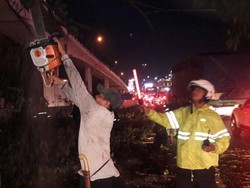 Truk Kontainer Tertimpa Pohon di Tomang, Lalin Macet