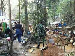 Temuan Emas Picu Ratusan Orang Serbu Hutan Kolaka, Bupati Bereaksi