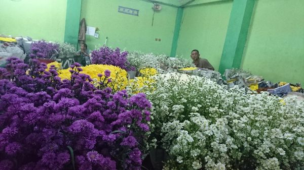 Warna-warni, Ini Pasar Karangan Bunga untuk Ahok