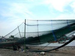 Trenggono Kaji Ulang Penggunaan Cantrang yang Dilegalkan Edhy Prabowo