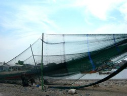 Ketua Adat Laut: Cantrang dan Pukat Banyak Dipakai di Lhokseumawe