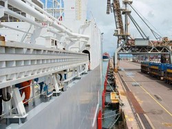 Industri Peternakan Australia Gunakan Teknologi Realitas Virtual